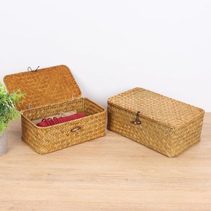 FEIALNDUO Wicker Shelf Baskets with Lid,Seagrass Storage Basket Bins Rectangular Handwoven Basket Boxes for Shelves Desktop Home Organizer (Natural, X-Small)