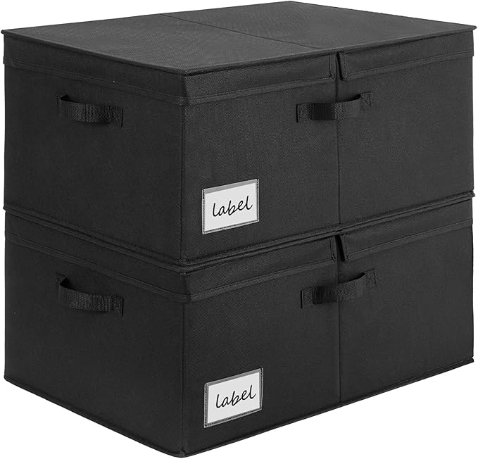GRANNY SAYS Extra Large Storage Bins with Double-Open Lid, Closet Storage Boxes with Label, 63L Stackable Storage Organizer, Shelves Basket, Black, 2-Pack