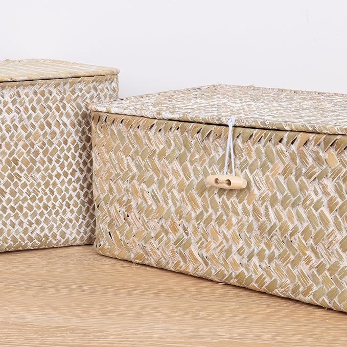FEIALNDUO Wicker Shelf Baskets with Lid,Seagrass Storage Basket Bins Rectangular Handwoven Basket Boxes for Shelves Desktop Home Organizer (Whitewash, Medium)