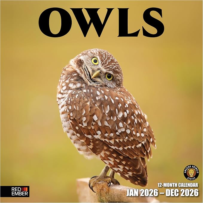 RED EMBER Owls 2026 Wall Calendar 12 Month | 12" x 24" Open | Thick & Sturdy Paper | Giftable | Birds of Prey Animal Calendar 2026