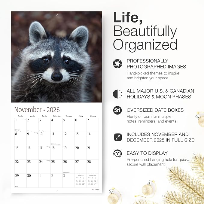RED EMBER Raccoons 2026 Wall Calendar 12 Month | 12" x 24" Open | Thick & Sturdy Paper | Holiday Gift | Funny Animal Calendar 2026