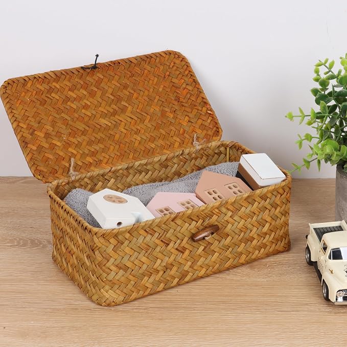 FEIALNDUO Wicker Shelf Baskets with Lid,Seagrass Storage Basket Bins Rectangular Handwoven Basket Boxes for Shelves Desktop Home Organizer (Natural, X-Small)