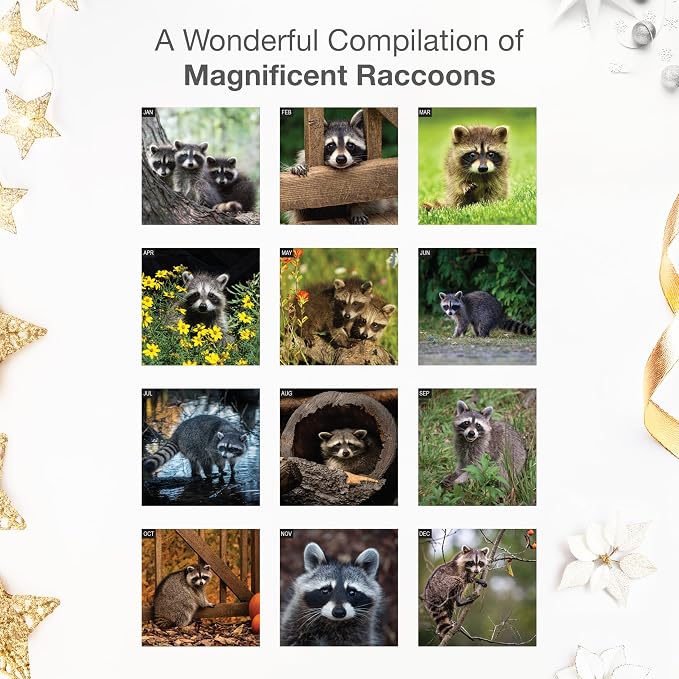 RED EMBER Raccoons 2026 Wall Calendar 12 Month | 12" x 24" Open | Thick & Sturdy Paper | Holiday Gift | Funny Animal Calendar 2026