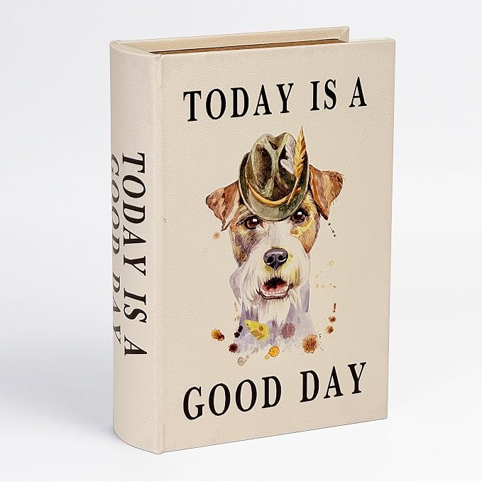 PACOLO Decorative Book Boxes, Faux Wood cover Storage for Hidden Jewelry, Money, and Cash (TODAY IS A GOOD DAY)