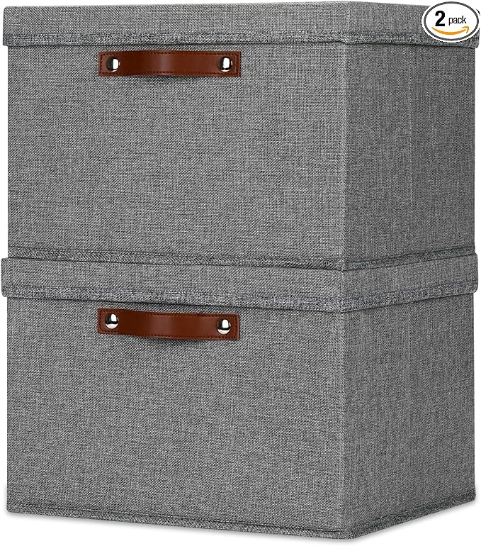 Temary Storage Bins with Lids 2-Pack Large Foldable Storage Baskets with Lid, Fabric Storage Bin for Organizing Home (Grey, 15x11x9.5inch)