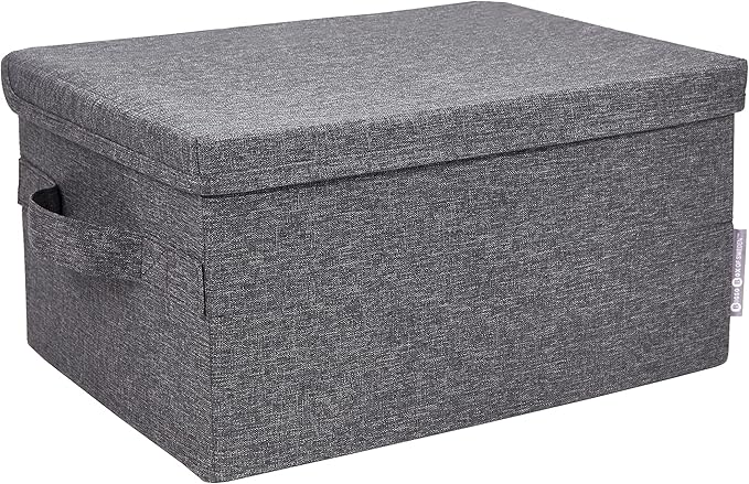 Bigso Box of Sweden Soft Foldable Polyester Storage Box with Lid & Handles for Closets and Rooms - Collapsible Organizer for Clothes and More - 10.2in x 13.8in x 7.5in - Small - Grey