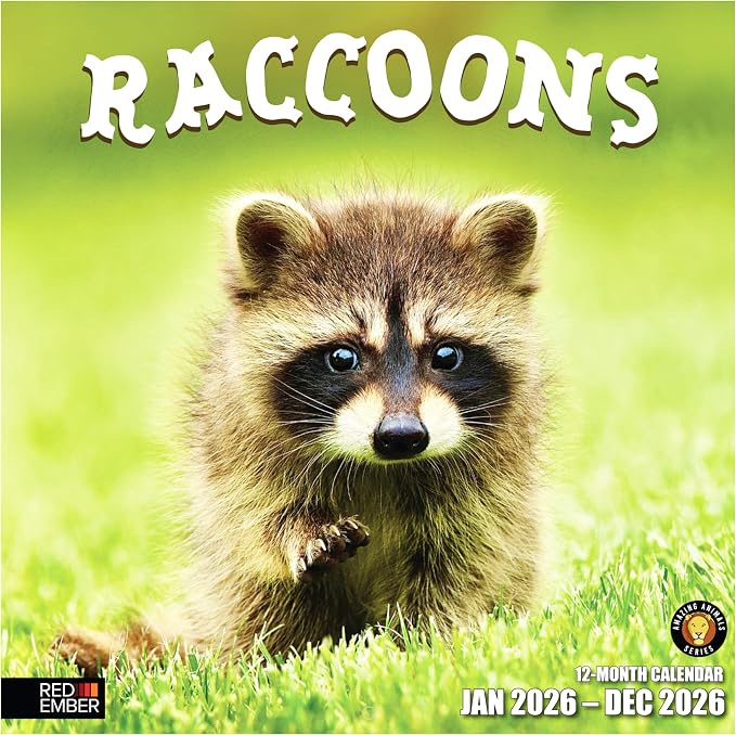 RED EMBER Raccoons 2026 Wall Calendar 12 Month | 12" x 24" Open | Thick & Sturdy Paper | Holiday Gift | Funny Animal Calendar 2026
