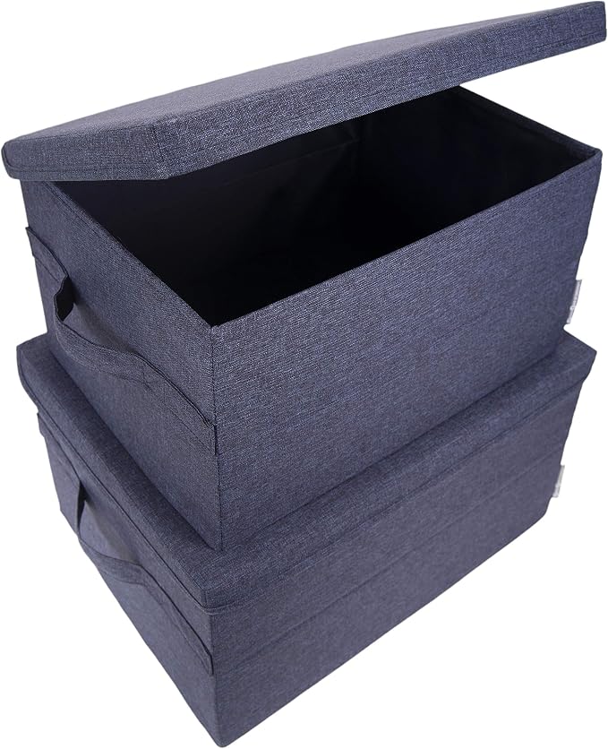 Bigso Box of Sweden Soft Foldable Polyester Storage Box with Lid and Handles for Closets and Rooms - Collapsible Organizer for Clothes and More - 10.2in x 13.8in x 7.5in - Small - Blue
